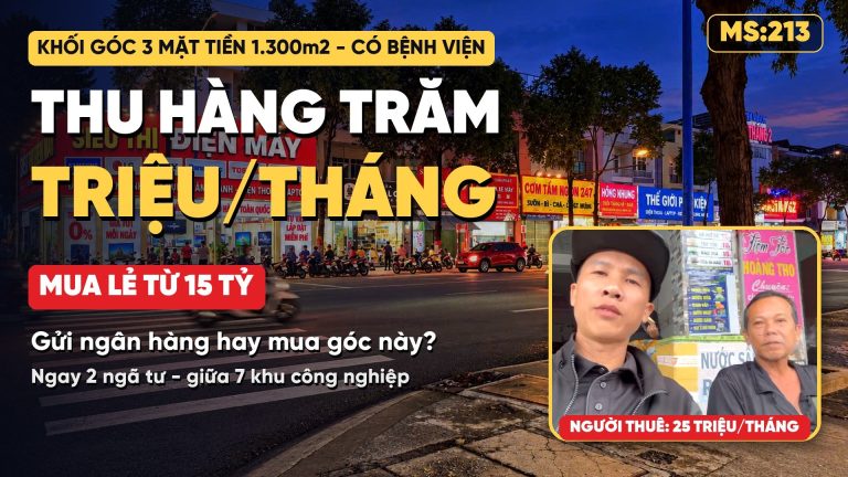 Khối góc 3 mặt tiền 1.300m² có bệnh viện, gửi ngân hàng hay mua mặt bằng cho thuê